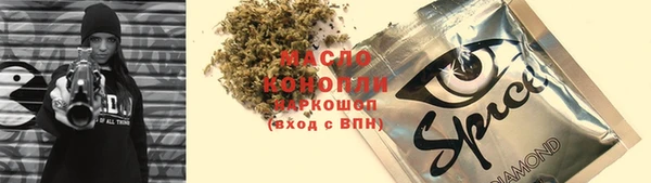 стаф Верея