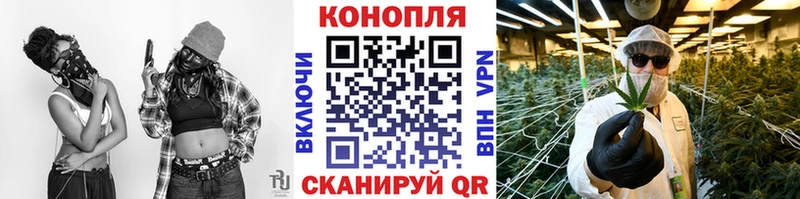 МАРИХУАНА сатива  Сыктывкар 